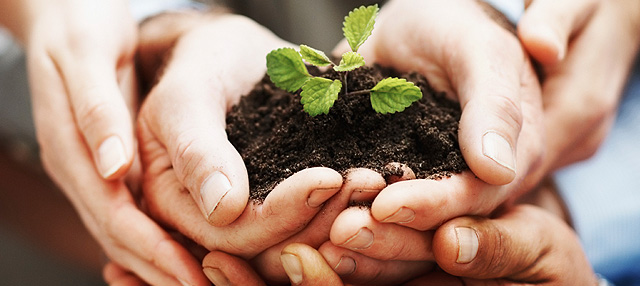 Social Responsibility